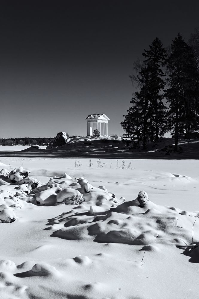 Photograph by Сафронова Любовь