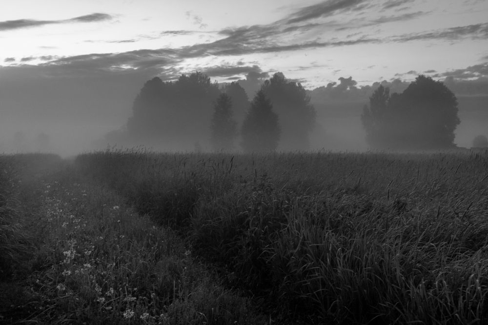 Photograph by Елена Копейкина