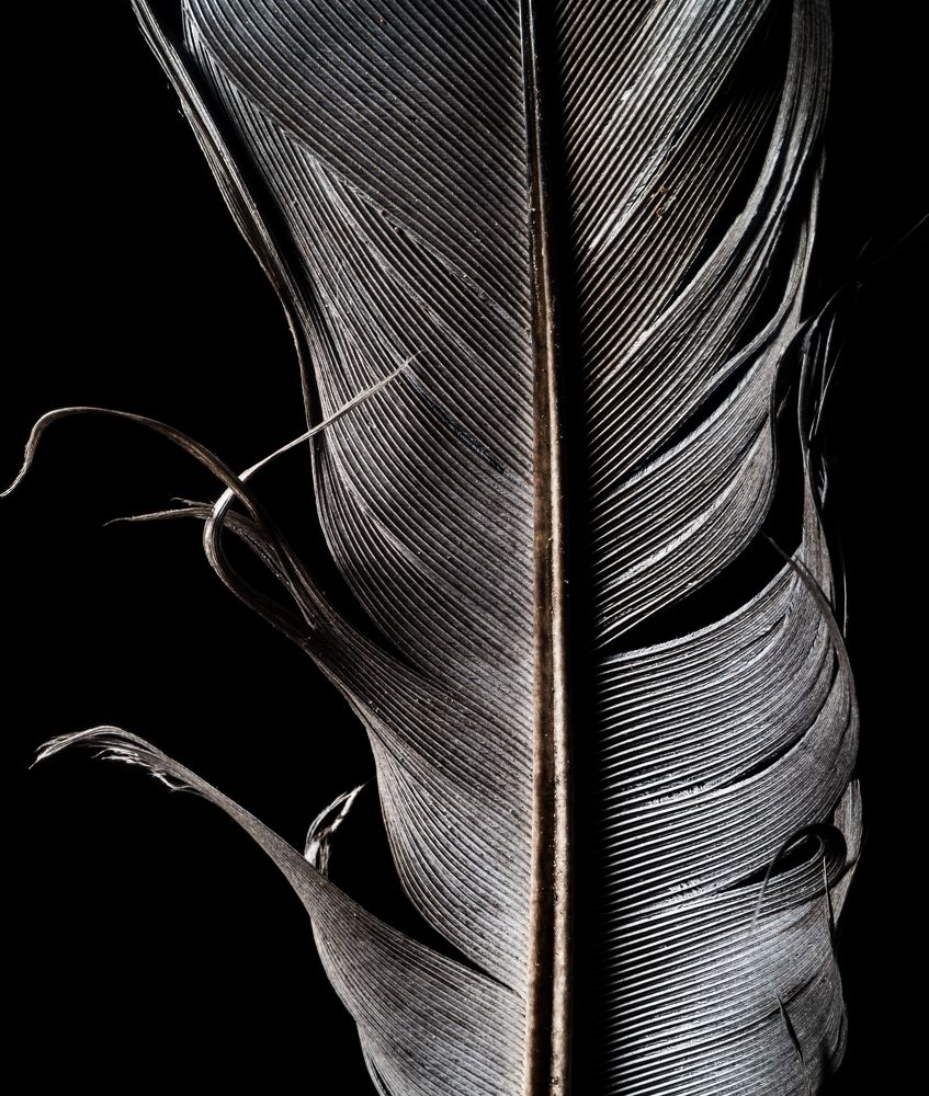 Photograph by Антон Чепуркин