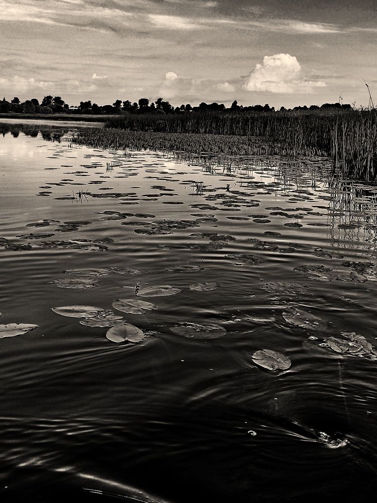 Photograph by Сергей Симаков