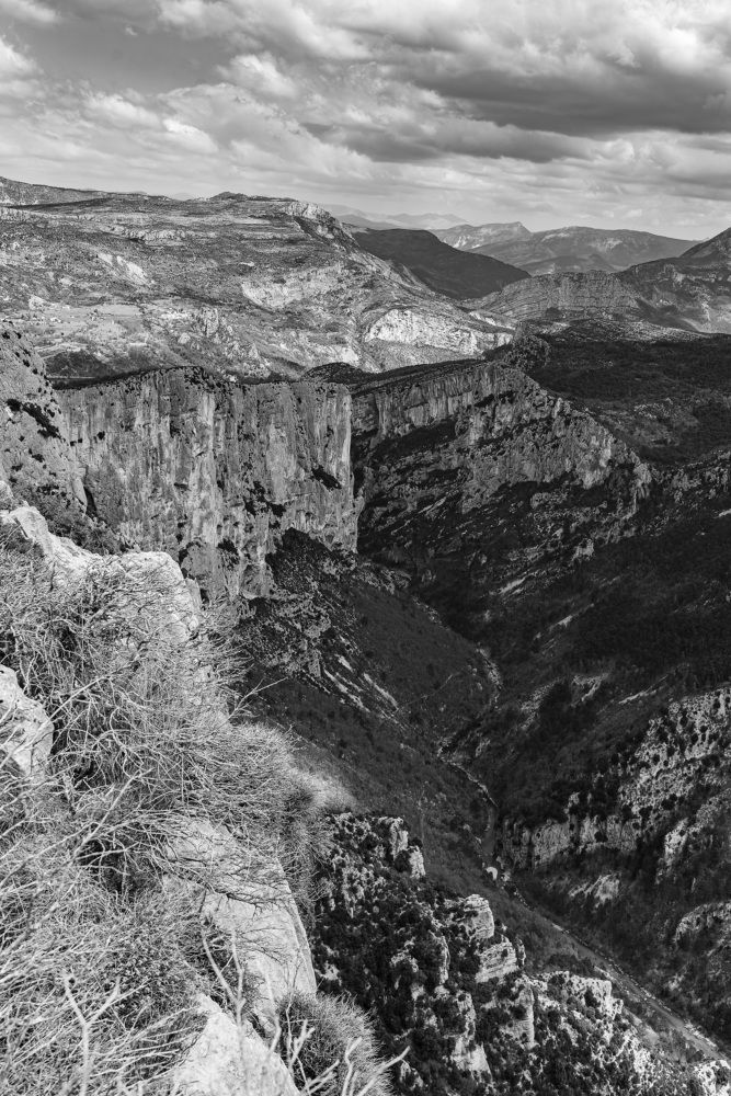 Photograph by René Richard Verona