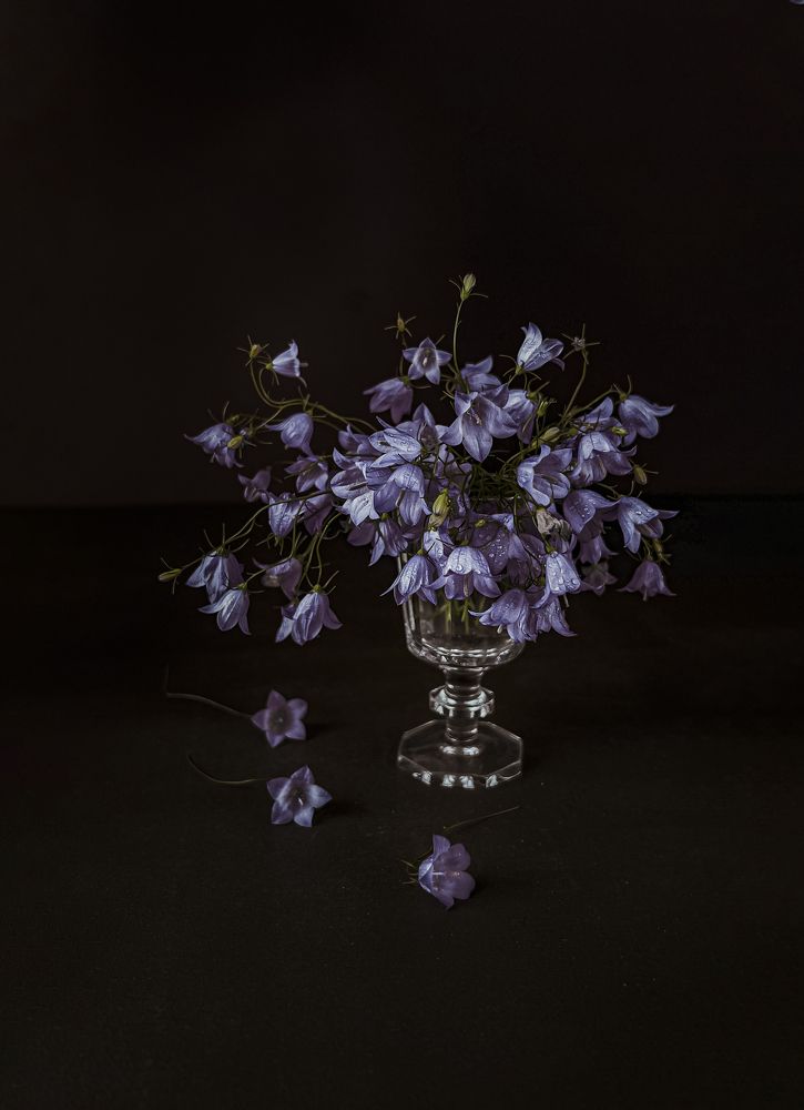 Photograph by Марина Невская