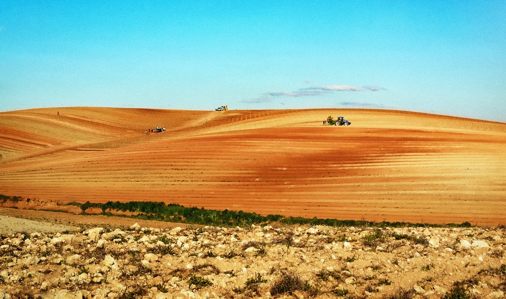 Photograph by Veaceslav Chisalita