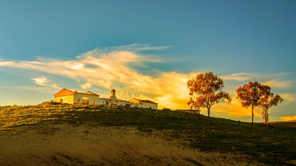 Photograph by Veaceslav Chisalita