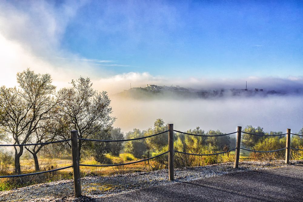 Photograph by Veaceslav Chisalita