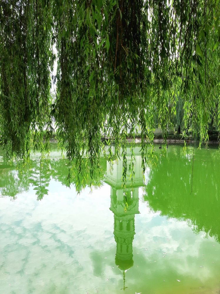 Photograph by Александр Лопатин