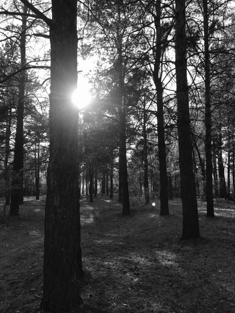 Photograph by Анар Амирова