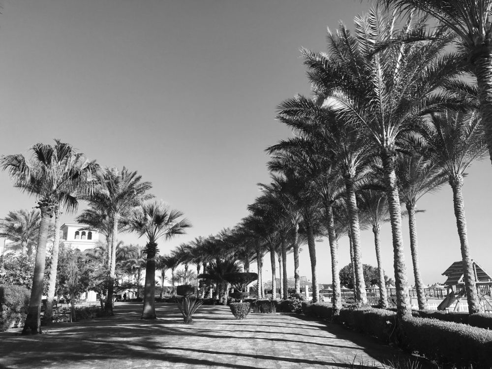 Photograph by Анар Амирова