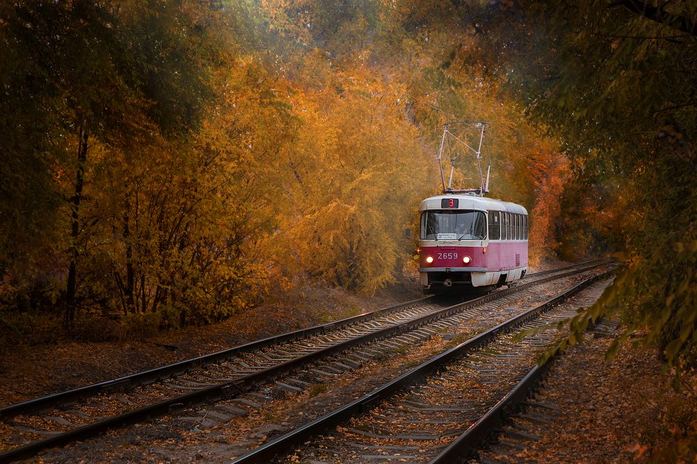 Photograph by Олег Крец