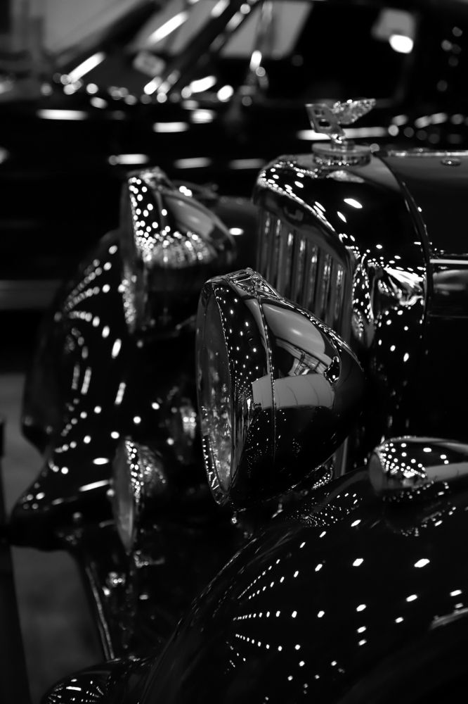 Photograph by елена