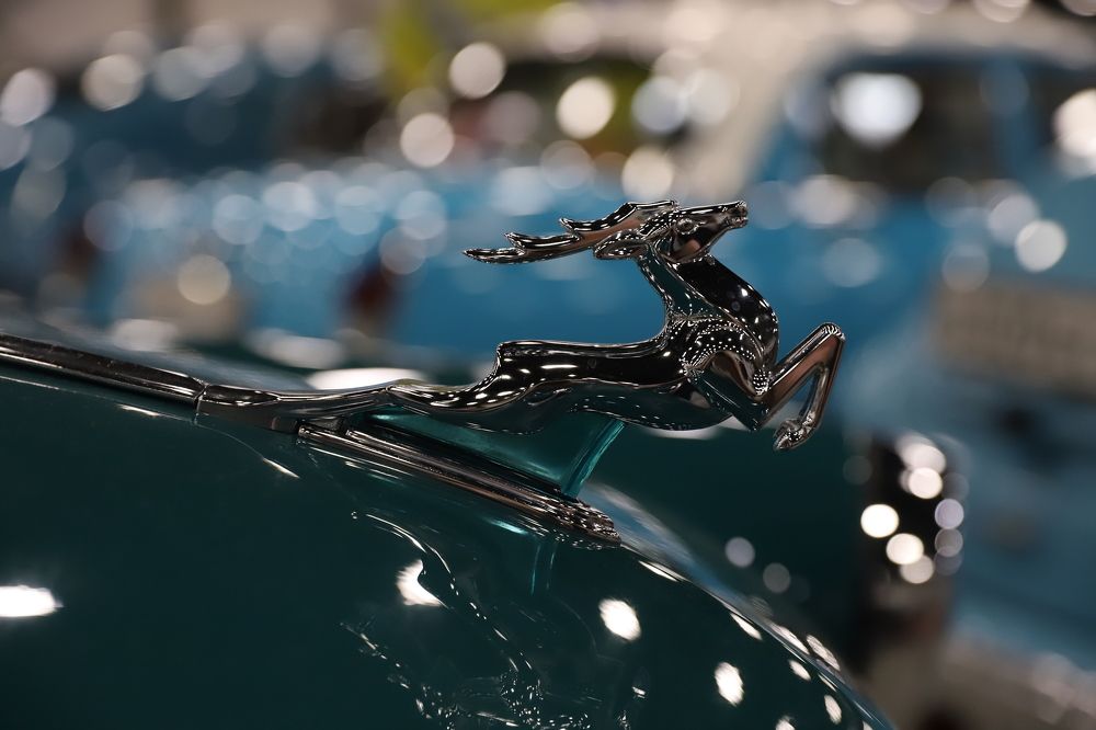 Photograph by елена