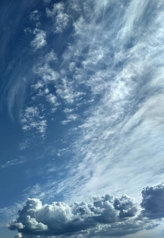 Photograph by Catherine