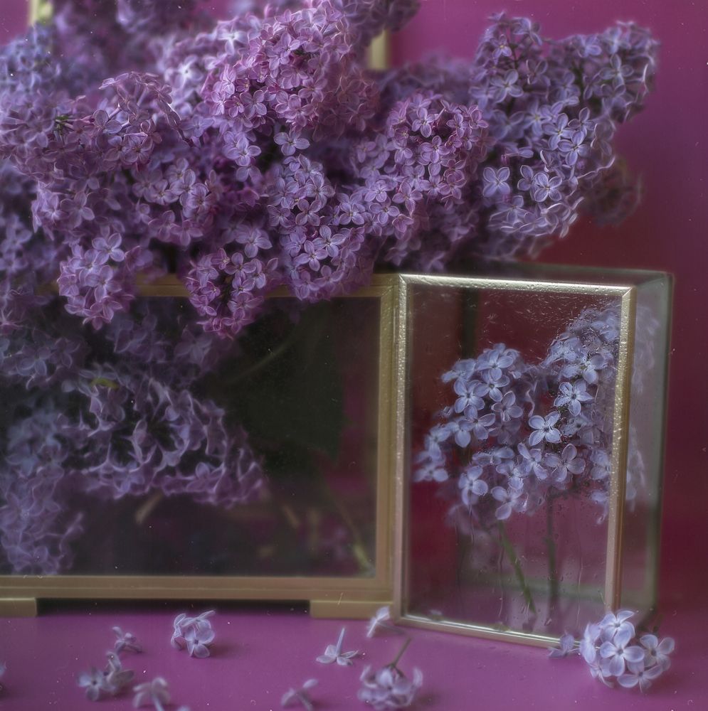 Photograph by Andreeva Svoboda