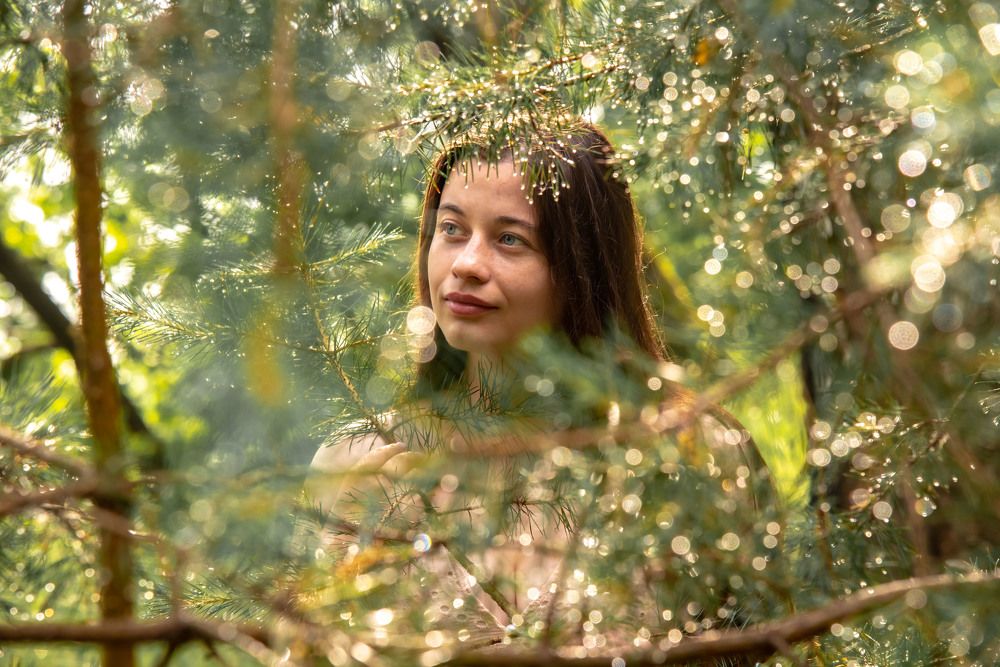 Фотография автора Геннадий Коробов