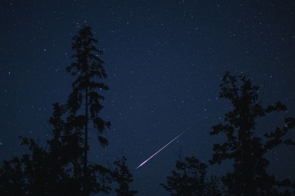 Небесный гость