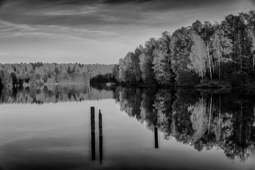 Photograph by Михаил Волков