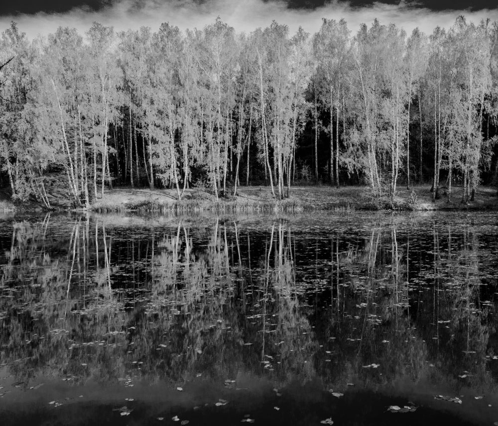 Photograph by Михаил Волков