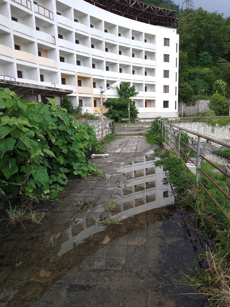Photo #7799618