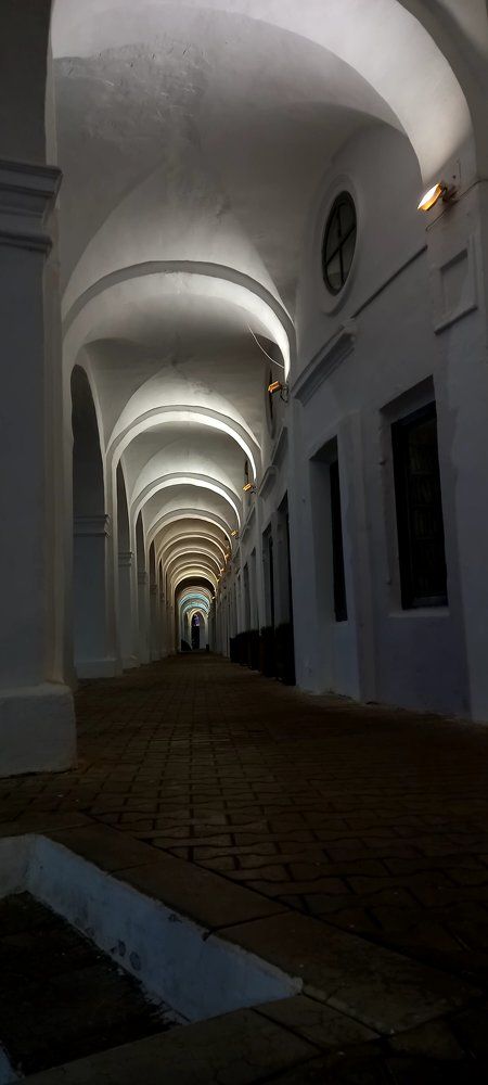 Photo #7799640