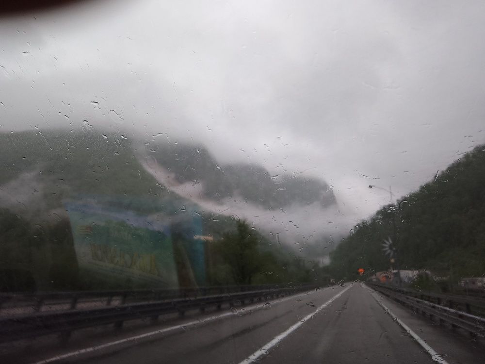 Photo #7799646