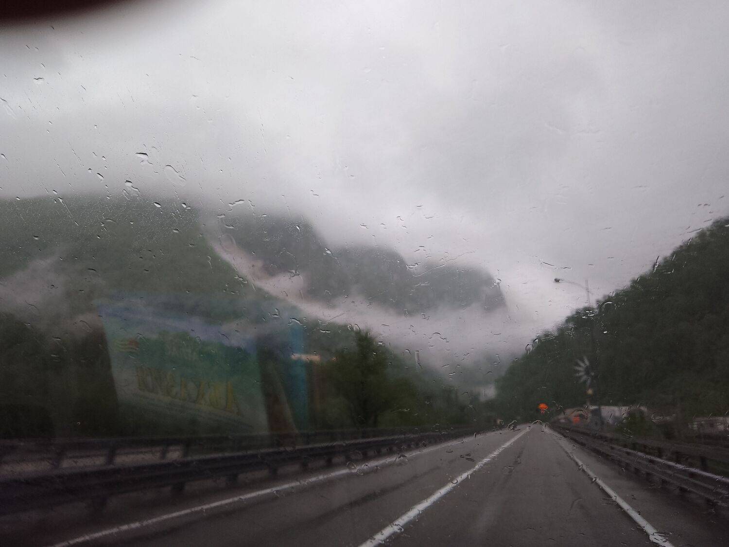 Photo #7799646