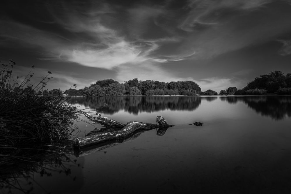 Фотография автора Nishakanth Y