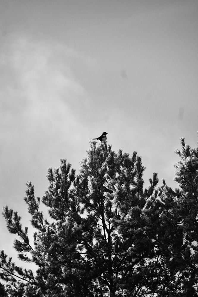 Photograph by Анна Полякова