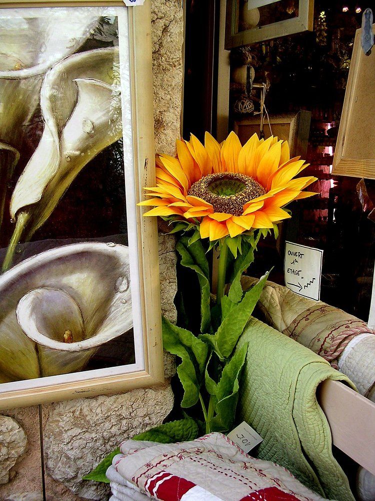 Натюрморт с подсолнухом