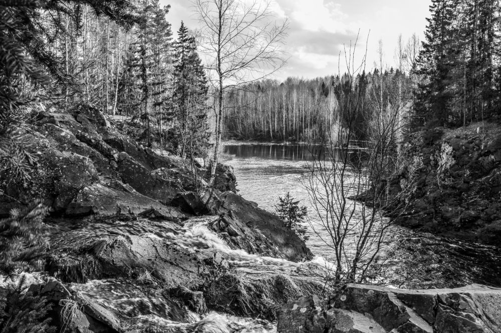 Photograph by Ольга Семина