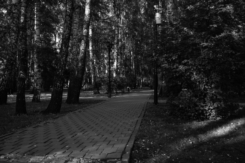 Photograph by Ксения Фёдорова