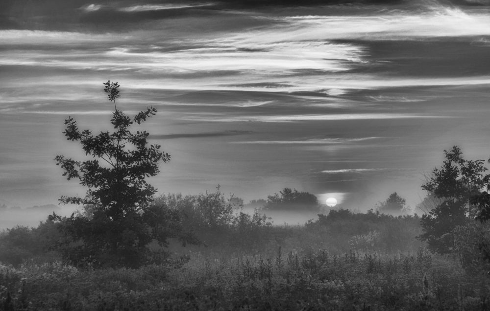 Утро туманное...