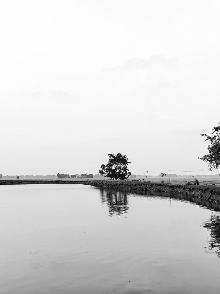 Photograph by Sudeshna Chanda