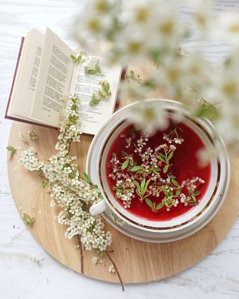 Photograph by Elena Bogomolova