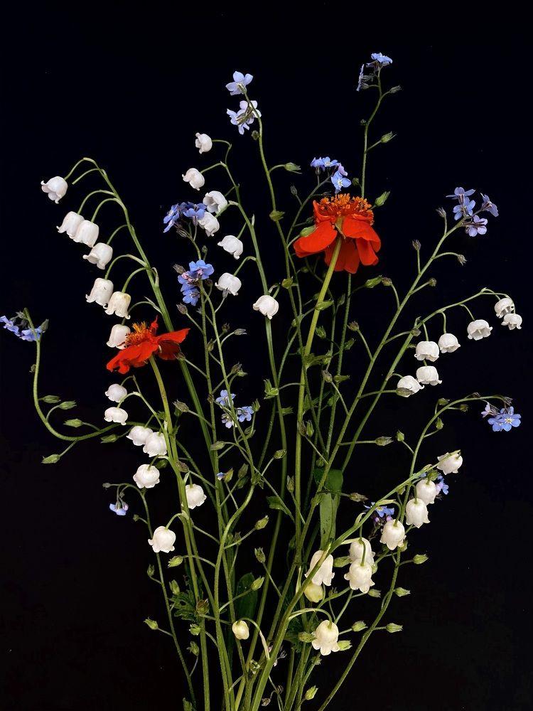 Photograph by Марина Танаева