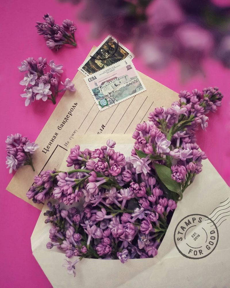 Photograph by Elena Bogomolova