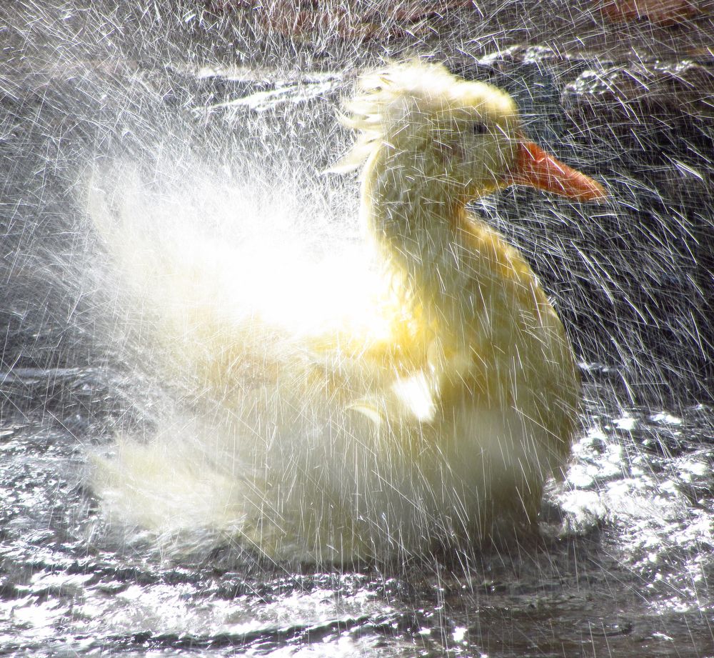 Photograph by Buket Demirel