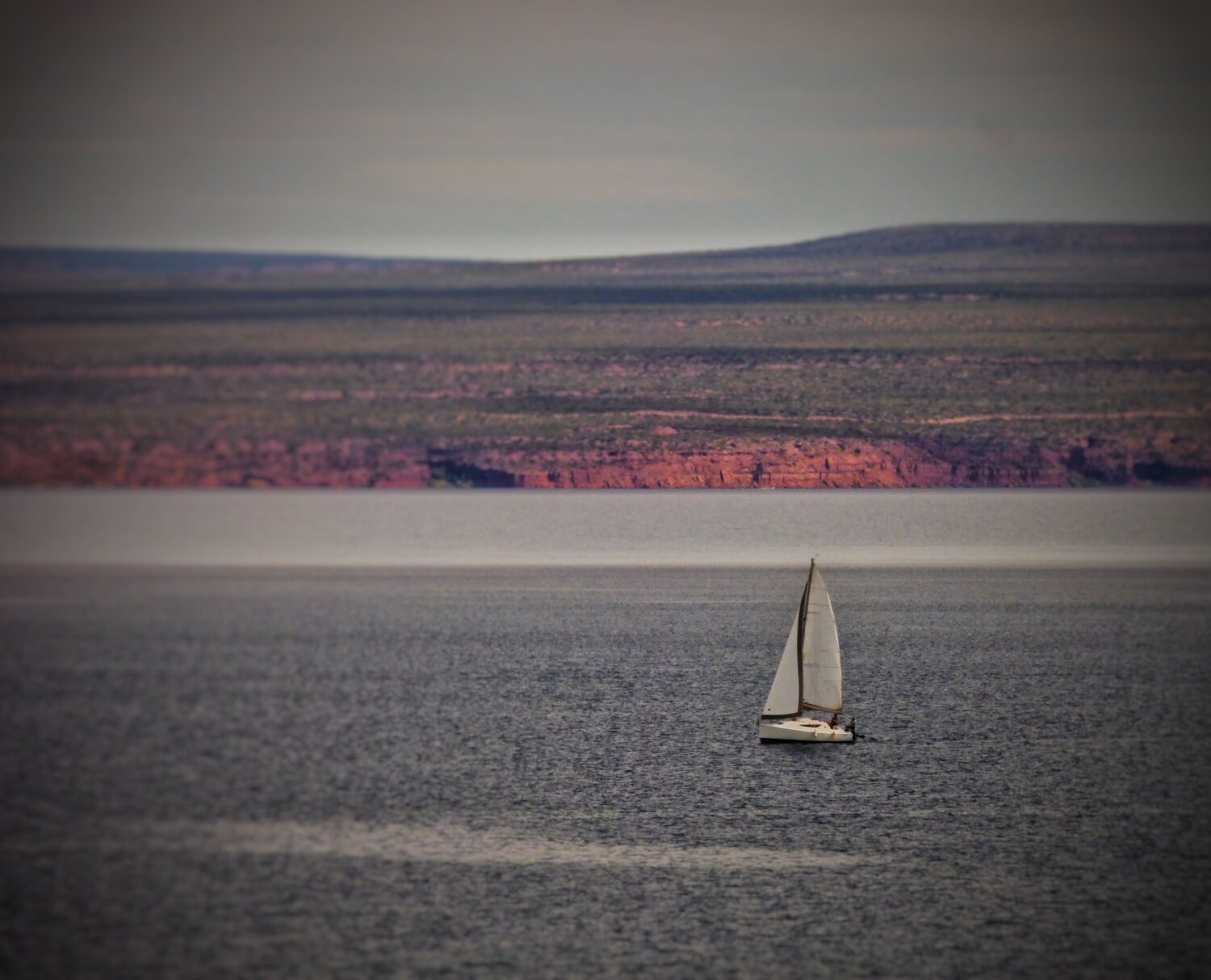 Photo #7800104