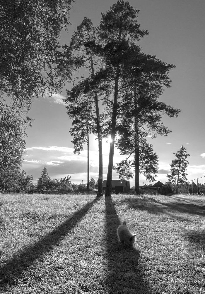 На теневой линии