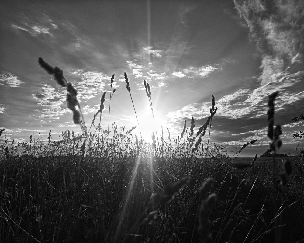 Photograph by Ольга Третьякова