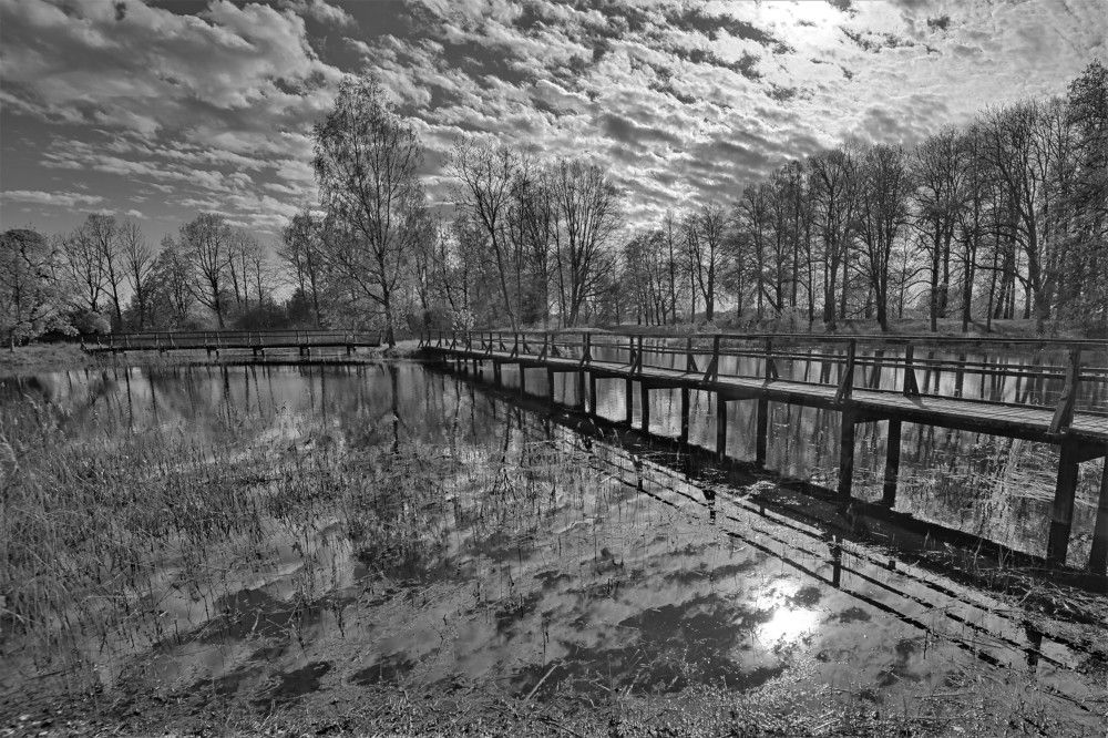 Photograph by Jānis Sērdienis