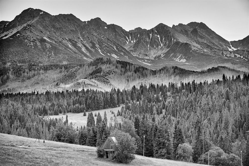 Photograph by Jānis Sērdienis