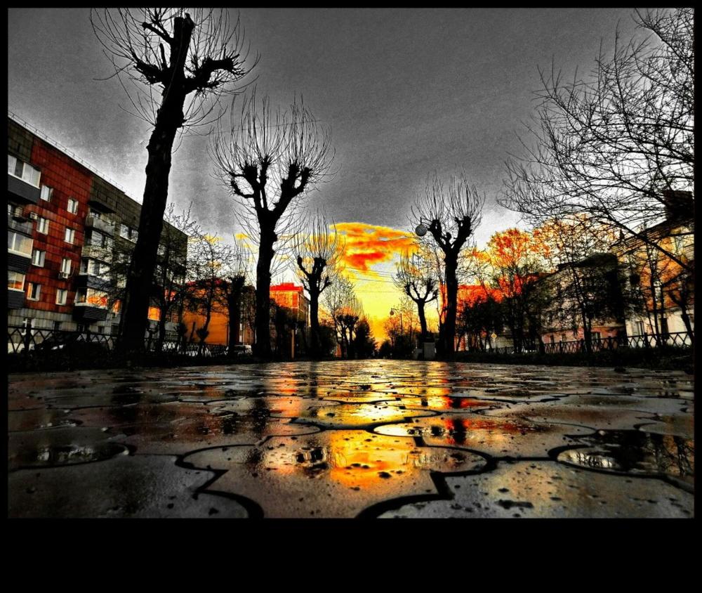 Photograph by Елена Ласун