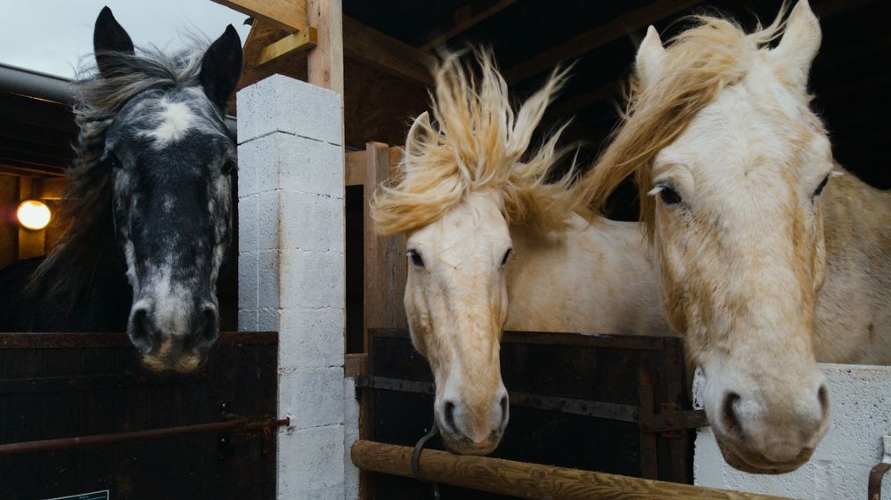 Photograph by Антон Новиков