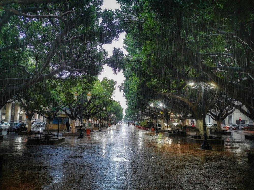 Photograph by Fehd Ghammit