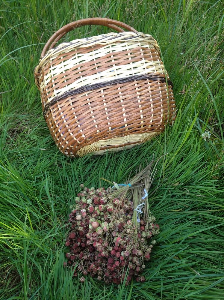 Photograph by Елена Коробченко