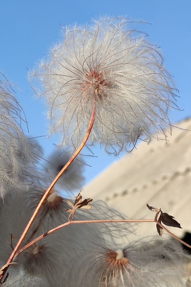 Photograph by Екатерина Ботникова