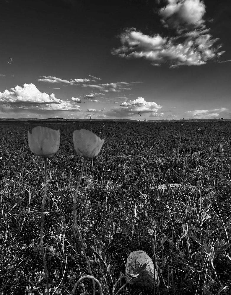 Photograph by Елена Мизина