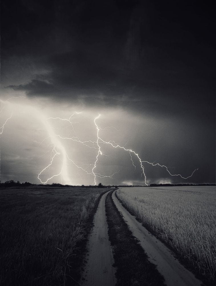 Photograph by Виктория Селютина