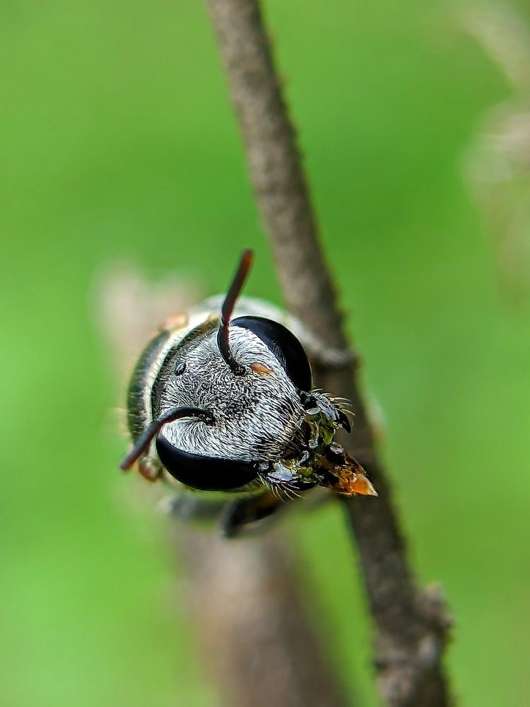 Photograph by Yernaidu Nelipudi