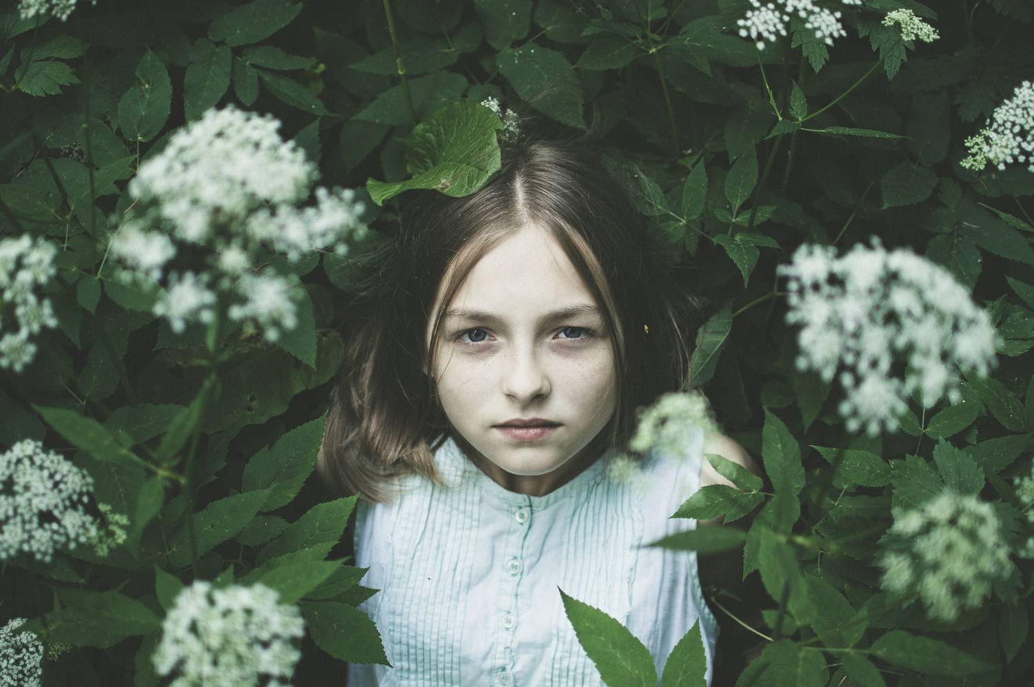 GreenGrass